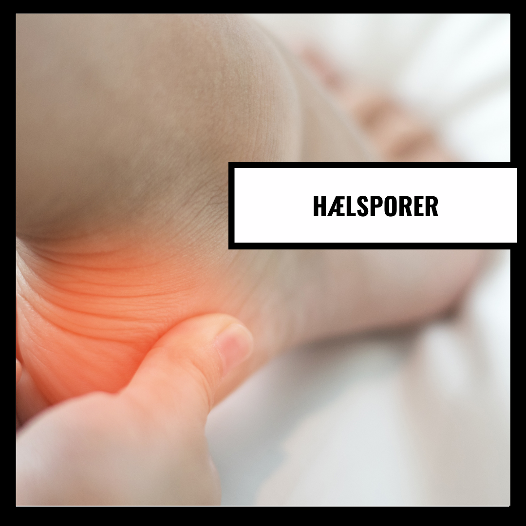 Hälsporrar